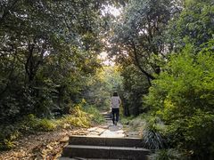 -杭州半山国家森林公园