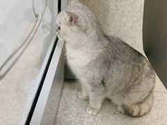 -谐和贝康宠物医院24小时·宠保定点(急重症转诊中心)