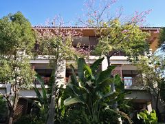 -碧桂园润杨溪谷温泉酒店