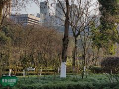 -龙头寺公园
