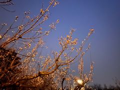 -海棠花溪(元大都城垣遗址公园)