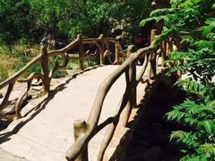 -黑龙潭风景区