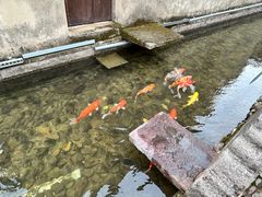 -前童古镇