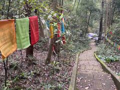 -都江堰普照寺