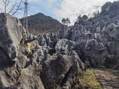 -千岛湖石林
