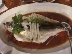 钱湖四宝-朋鱼-宁波柏悦酒店·钱湖渔港