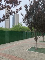 -大望京儿童游乐场