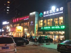 -撒拉花儿·新疆菜·清真(太阳宫店)