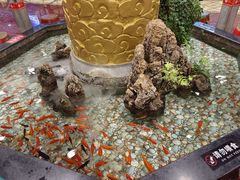 -万荣烤鸭店·北京菜(天坛店)