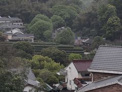 -龙井村