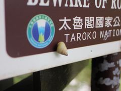 -太鲁阁公园
