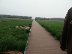 -汉景帝阳陵博物院