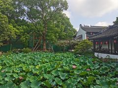-上海醉白池公园