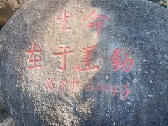 -火炉山森林公园