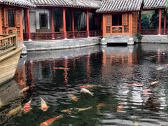 -香麒园·过桥米线·南湖雅宴