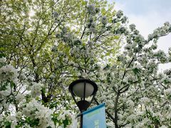 -元大都城垣遗址公园