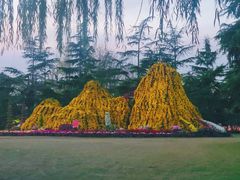 -上海大学（宝山校区）-图书馆