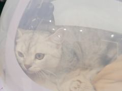 -瑞派康怡24h宠物医院·犬猫医疗中心·微创绝育(瑞景分院)