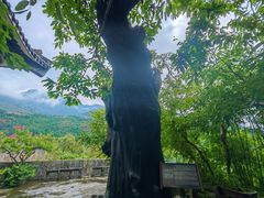 -白帝城·瞿塘峡景区