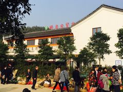 -长兴慧子土特产茶行