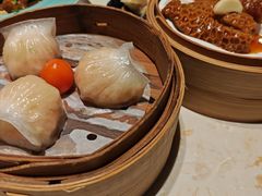 -点都德·毕德寮