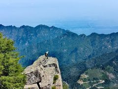 -秦岭风景区