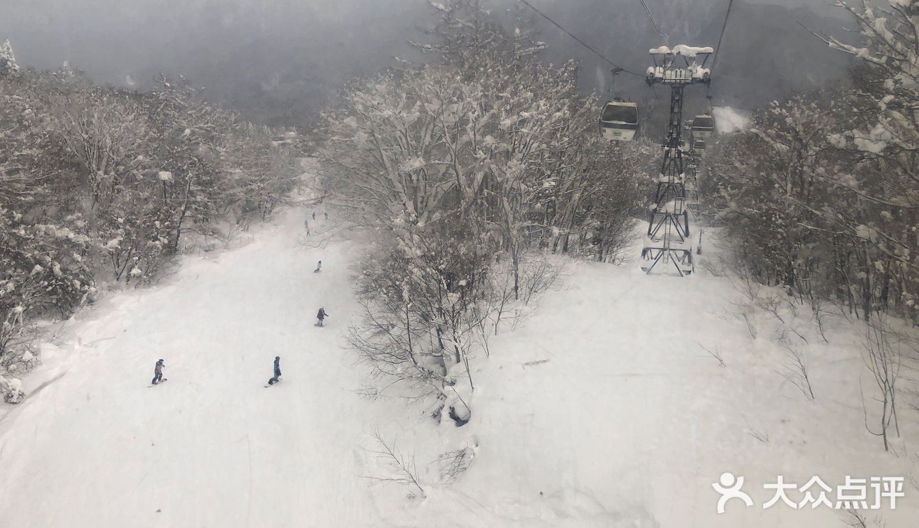 日本长野白马村滑雪场🎿之旅