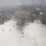 日本长野白马村滑雪场🎿之旅