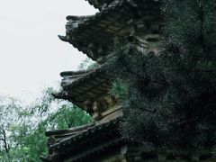 -潭柘寺景区