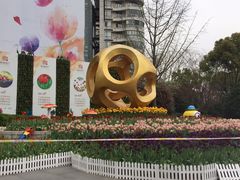-新湖明珠城