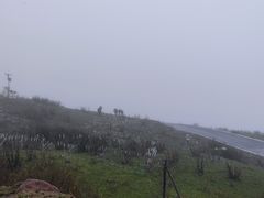 -牛背山