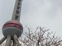 -东方明珠广播电视塔