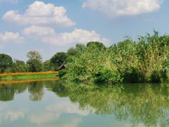 -西溪国家湿地公园