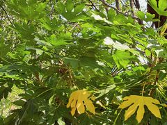 -苏州河梦清园环保主题公园