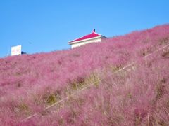 -沂蒙云瀑洞天景区
