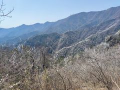 -大觉寺-停车场