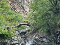 -少华山国家森林公园