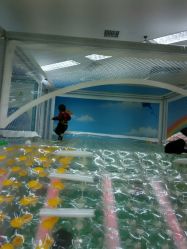 -孩子王童乐园(洛阳万达店)