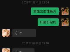 -柚子猫舍·精品猫舍购猫·猫咪认养·购宠·宠物店