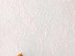 -世界之窗阿尔卑斯冰雪世界