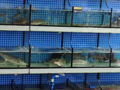 -阿伍海鲜大排档(塔湾金沙店)