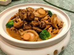 -湖北三五醇酒店·35年新楚菜