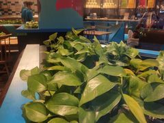-菲滋意式餐厅(长兴东鱼坊店)