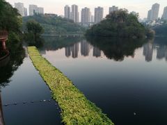 -重庆彩云湖湿地公园
