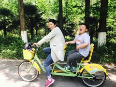 -黄海国家森林公园