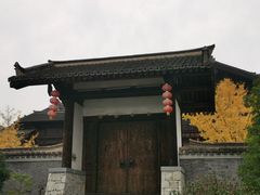 -大唐贡茶院