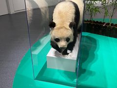 -中国湿地博物馆
