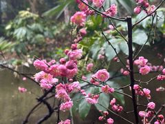 -海韵之星邮轮水会(明发商业广场店)