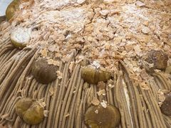 -Peet's Coffee皮爷咖啡(德基店)