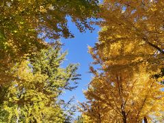 -意大利农场度假村